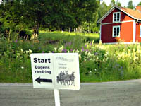 Trillan & Kyrkvägar
